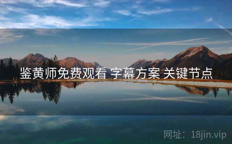 鉴黄师免费观看 字幕方案 关键节点