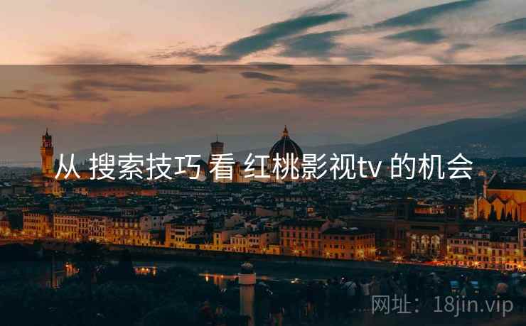 从 搜索技巧 看 红桃影视tv 的机会