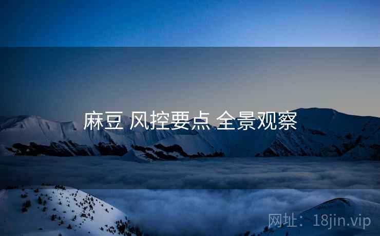 麻豆 风控要点 全景观察 麻豆 风控要点 全景观察