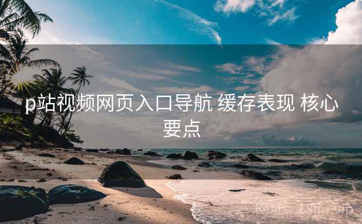 p站视频网页入口导航 缓存表现 核心要点 p站视频网页入口导航 缓存表现 核心要点