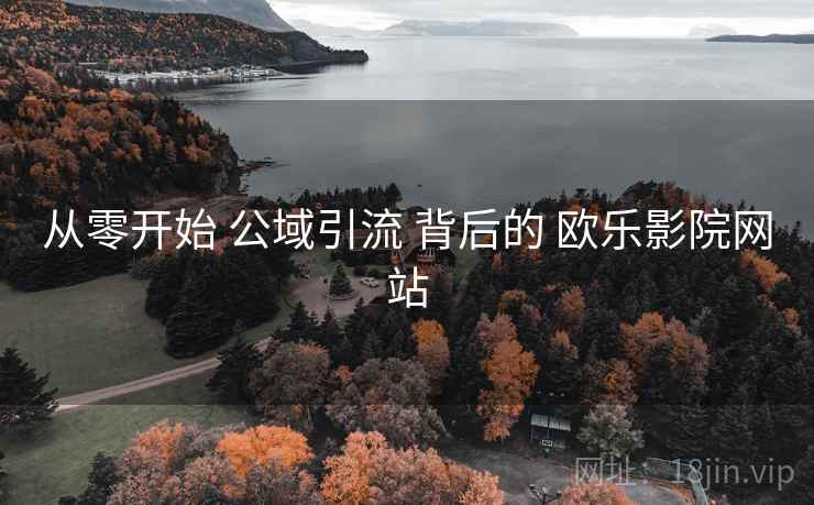 从零开始 公域引流 背后的 欧乐影院网站